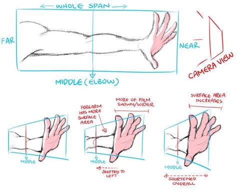 ☆☆ and as always, i'll do a random gift for one of you so, 1 of the commissioners from the last wave will receive a free gift coming from me (a drawing, of course, i'll choose what it'll be :3 bewb size and all, its a gift!) How to do foreshortening | World Manga Academy | Drawing tutorial, Anatomy reference, Anatomy