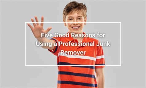 5 Reasons To Use A Professional Junk Remover Junk Removal