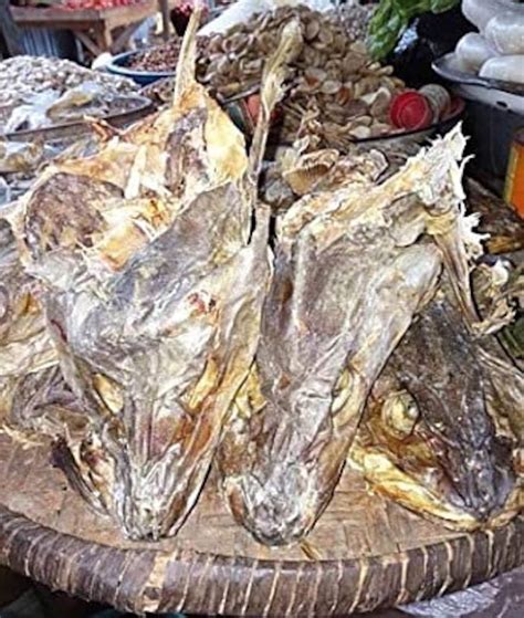Norwegian Hard Stockfish Head Premium Round Dried Cod Fish Etsy