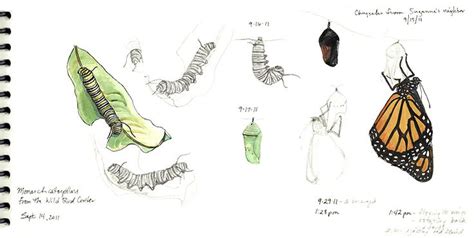 Maybe you would like to learn more about one of these? Pin on art class