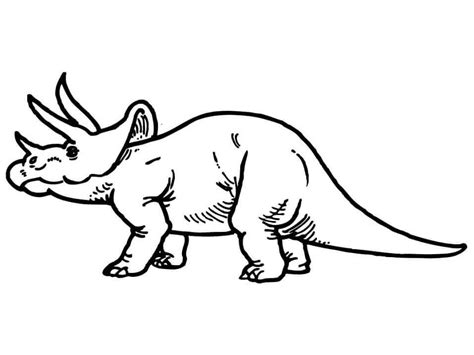 Genial Triceratop Para Colorear Imprimir E Dibujar Coloringonly