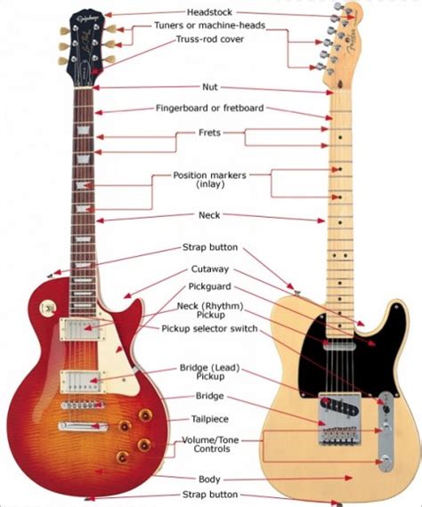 Guitar Anatomy The Parts Of Electric And Acoustic Guitars Guitarless