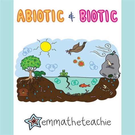 🤔 How Many Biotic And Abiotic Factors Can You Spot In My Drawing Check