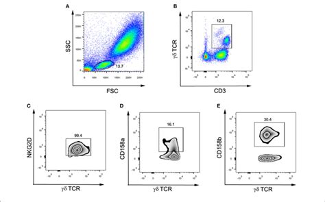 Flow Cytometry Gating Strategy For Surface Markers And γδ T Cell