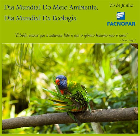 Devido ao atual modelo econômico, baseado em. Dia Mundial do Meio Ambiente e Dia da Ecologia