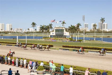 Horse Racing At The Gulfstream Park Florida Editorial Image Image Of