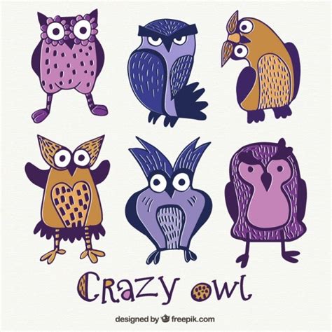 Free Vector Crazy Owls Illustration