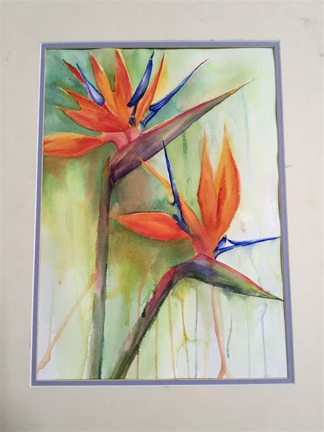 Bird Of Paradise Flower Done In Watercolour By Penny Foster Birds Of