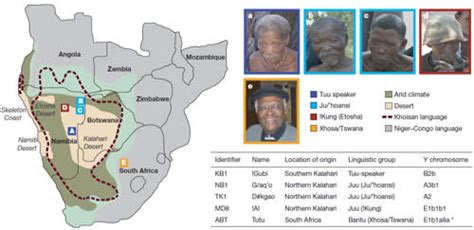 Africas Genetic Diversity Revealed By Full Genomes Of A Bushman And A