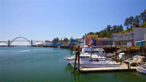 Visitez Newport Le Meilleur De Newport Oregon Pour 2022 Expedia