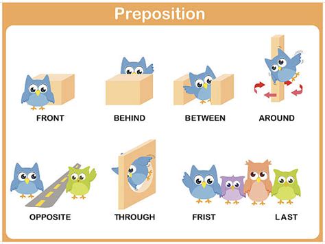 Royalty Free Preposition Clip Art Vector Images And Illustrations Istock