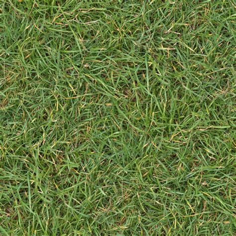 High Resolution Seamless Textures Grass 2 Turf Lawn Green Ground Field Texture