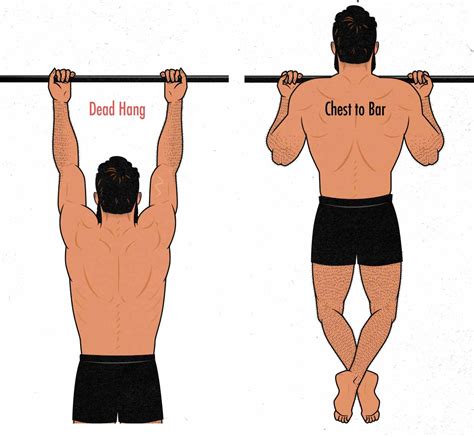 Are Chin Ups Effective For Biceps From This One Place