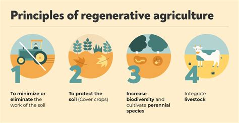 Discovering Regenerative Agriculture I Crowdfarming Blog Types