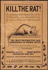 Photos of Rat Poison Warfarin