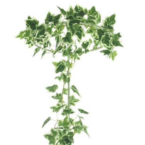 Artificial Variegated Ivy Garland Decorative Ivy Foliage