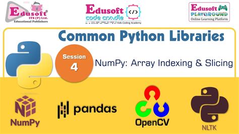 Common Python Libraries Numpy Arrays Indexing And Slicing Youtube