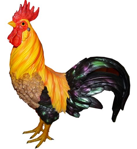 Gambar Binatang Ayam Png Gambar Animasi Hewan Ayam Clipart Full