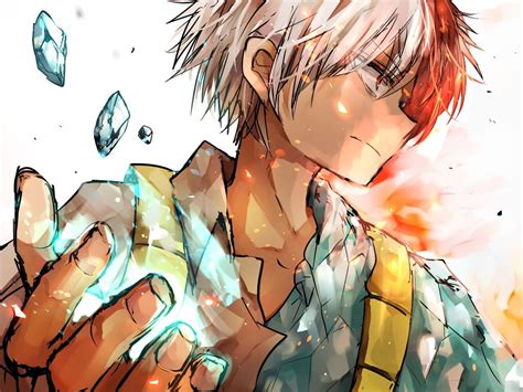 Boku No Hero Academia Todoroki Shouto My Hero Anime