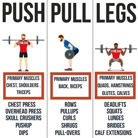 Pull Up Workout Muscle Groups For Push Pull Legs Fitness And Workout