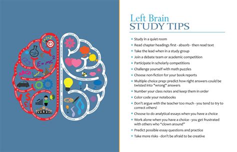 Characteristics of Left Brain Dominant Students