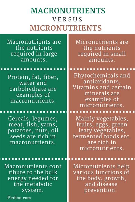 The secret to understanding food breakdown. Difference Between Macronutrients and Micronutrients ...