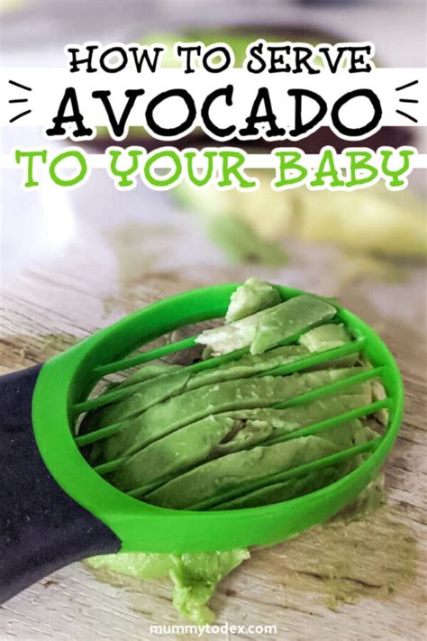 Baby Led Weaning Avocado How To Serve Avocado To Your Baby