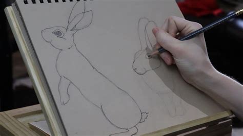 365 Days Of Art Day 111 Rabbit Poses Graphite Sketch No Erasing