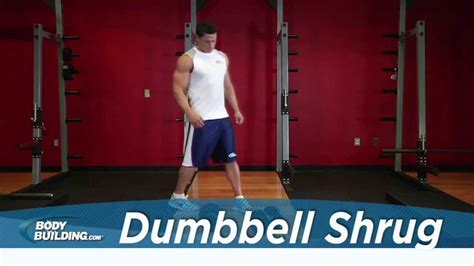 Dumbbell Shrug Shoulder Exercise Pumping Metals