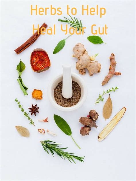 Herbs To Help Heal Your Gut