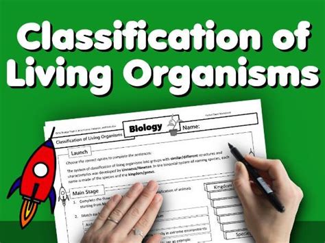 Classification Of Living Organisms Home Learning Worksheet Gcse