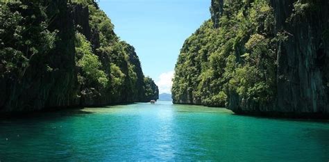 Discover Organizers Offering Services In Palawan On Tikigo Plan And
