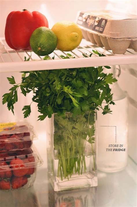 Store Your Herbs In Water Inside The Fridge And They Will Last Way