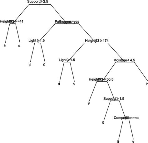 Full Classification Tree Of 29 Transplanted Vines Partitioned Into Four