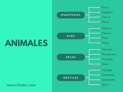 Organizadores Gráficos Concepto Características Tipos Ejemplos