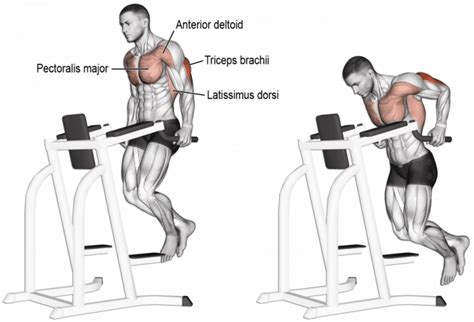 Chest Dips Vs Triceps Dips Whats The Difference Fitness Volt