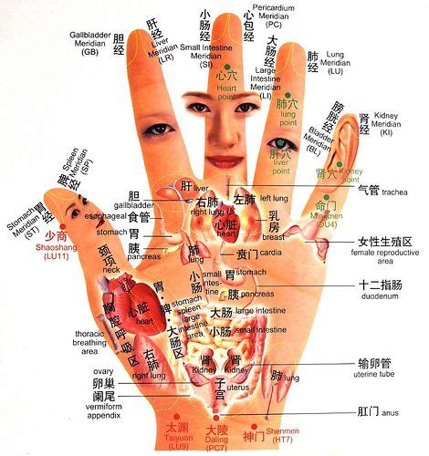 Reflexology Hand Chart Reflexology Points Reflexology Massage