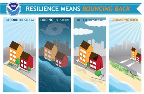 Hurricane Recovery Should Prioritize Resilience Natural Infrastructure