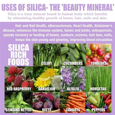 If you eat silica, it. Silica - the beauty mineral | Health, Health and nutrition ...