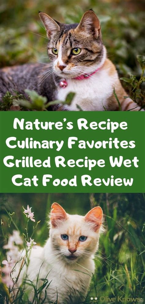 Plus, healthy cats are happy cats. Nature's Recipe Culinary Favorites Grilled Recipe Wet Cat ...