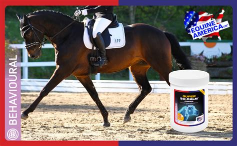 Equine America Super So Kalm Powder Premium Ready To Use Horse And Pony