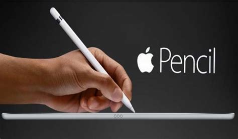 Lost Apple Pencil How To Find Apple Pencil