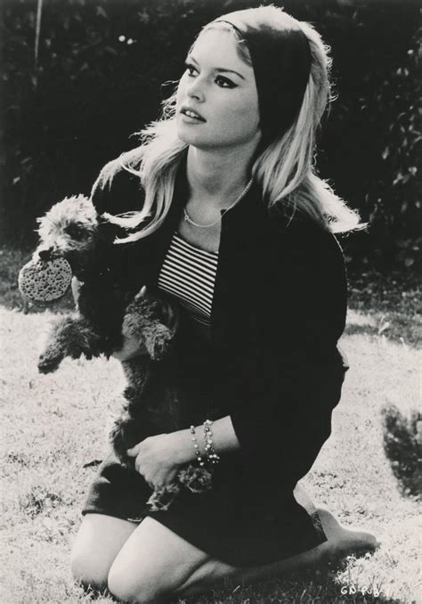 Les idoles des années 60 : Unknown - Brigitte Bardot Kneeling with Puppy Fine Art ...