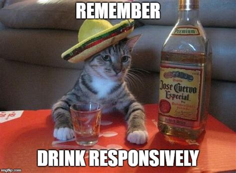 Alcohol Cat Imgflip