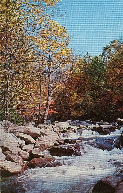 Vintage Travel Postcards Great Smoky Mountains National Park