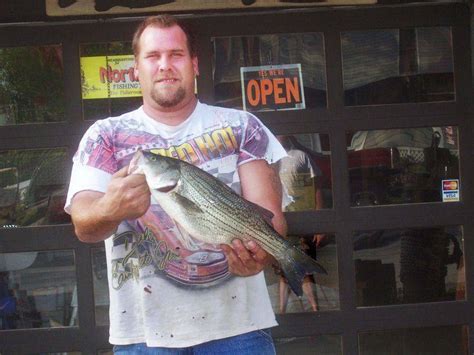 White Bass From The Maumee A Record The Blade