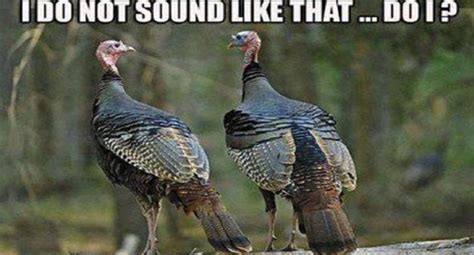 11 Turkey Memes That Will Get You Ready To Blast Those Birds Hunting