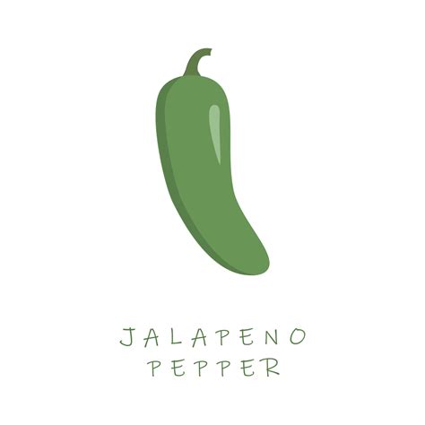 Jalapeno Pepper Flat Design Vector Illustrationcapsicum Annuum