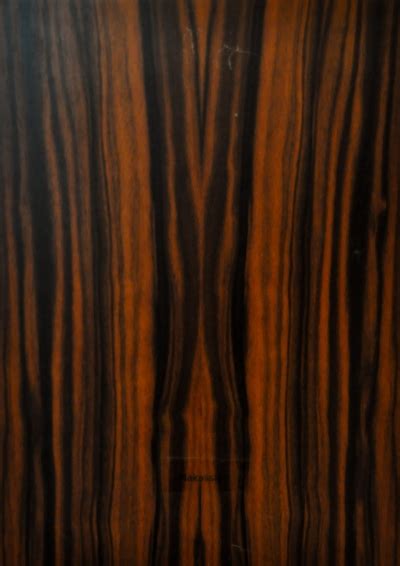 Makassar furnier bogenbau ebenholz z 224x14,5/15,5cm 2 blätter. Furnier Lehmann