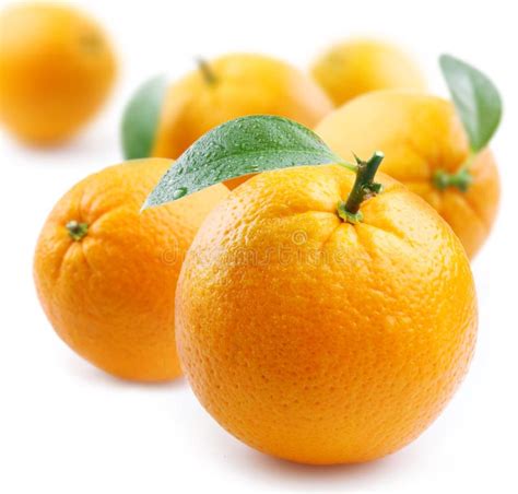 Ripe Oranges With Leaves Stock Image Image Of Circle 12487019